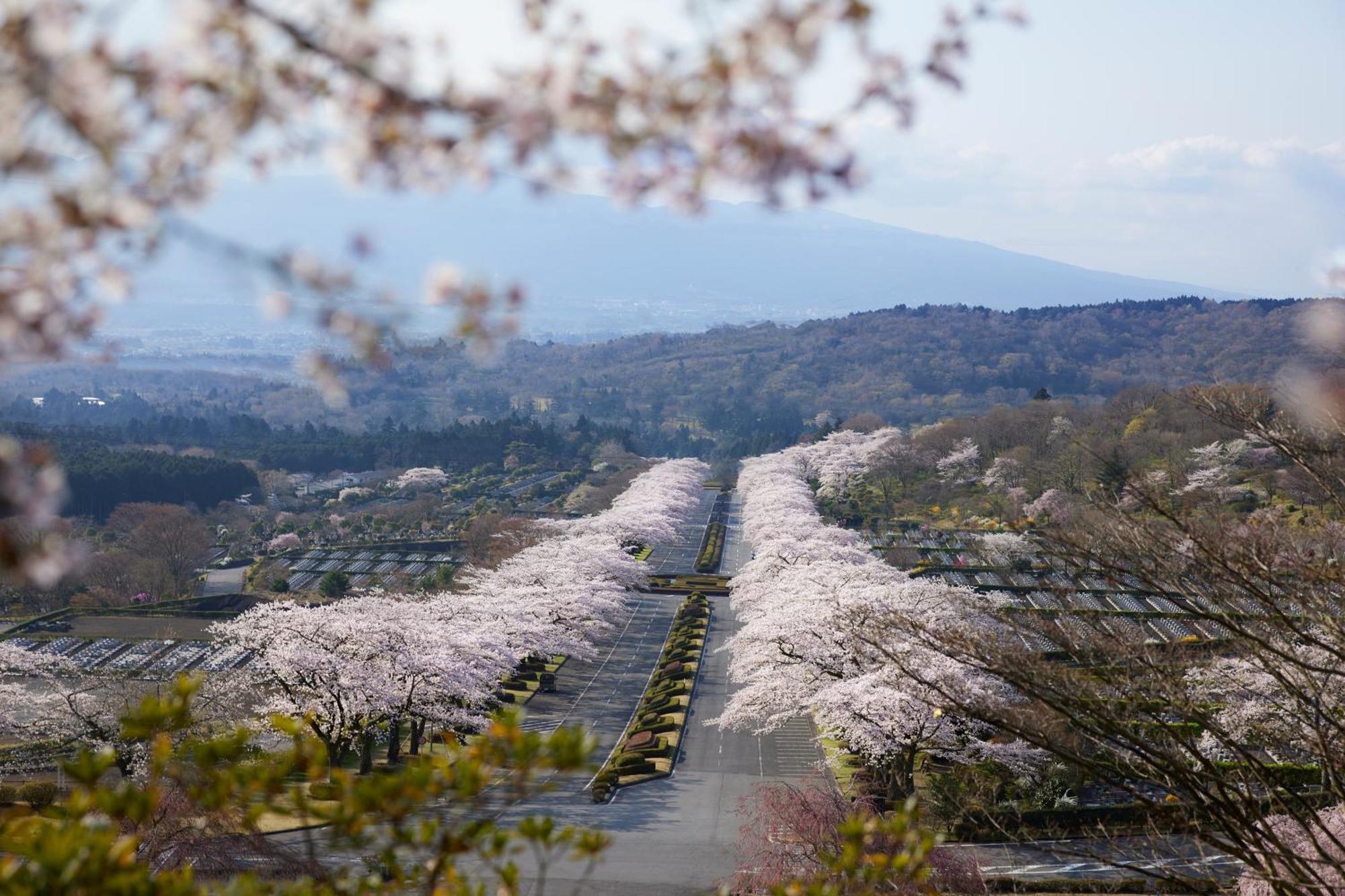 Fuji Speedway Hotel - The Unbound Collection By Hyatt Oyama  Exteriér fotografie