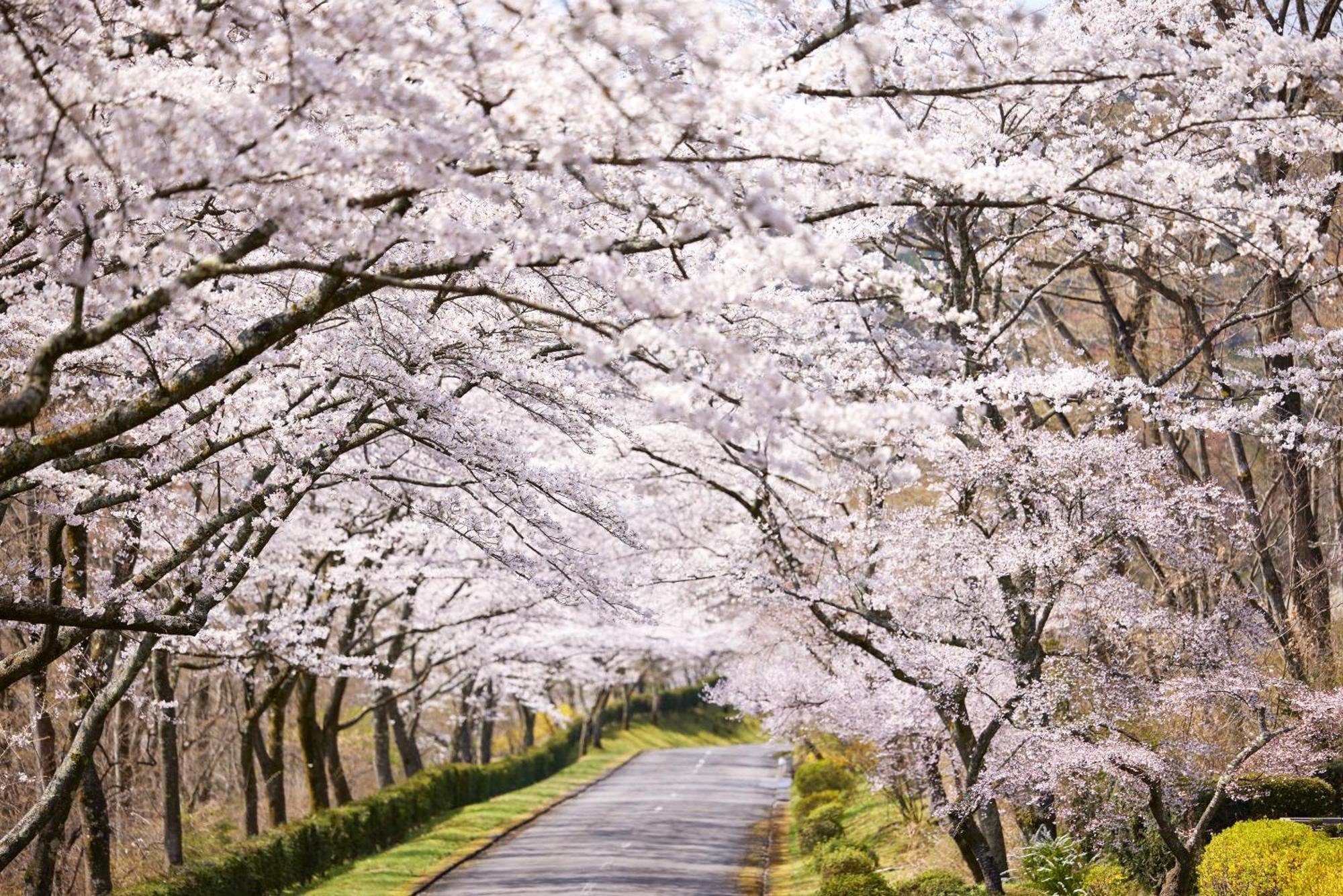 Fuji Speedway Hotel - The Unbound Collection By Hyatt Oyama  Exteriér fotografie